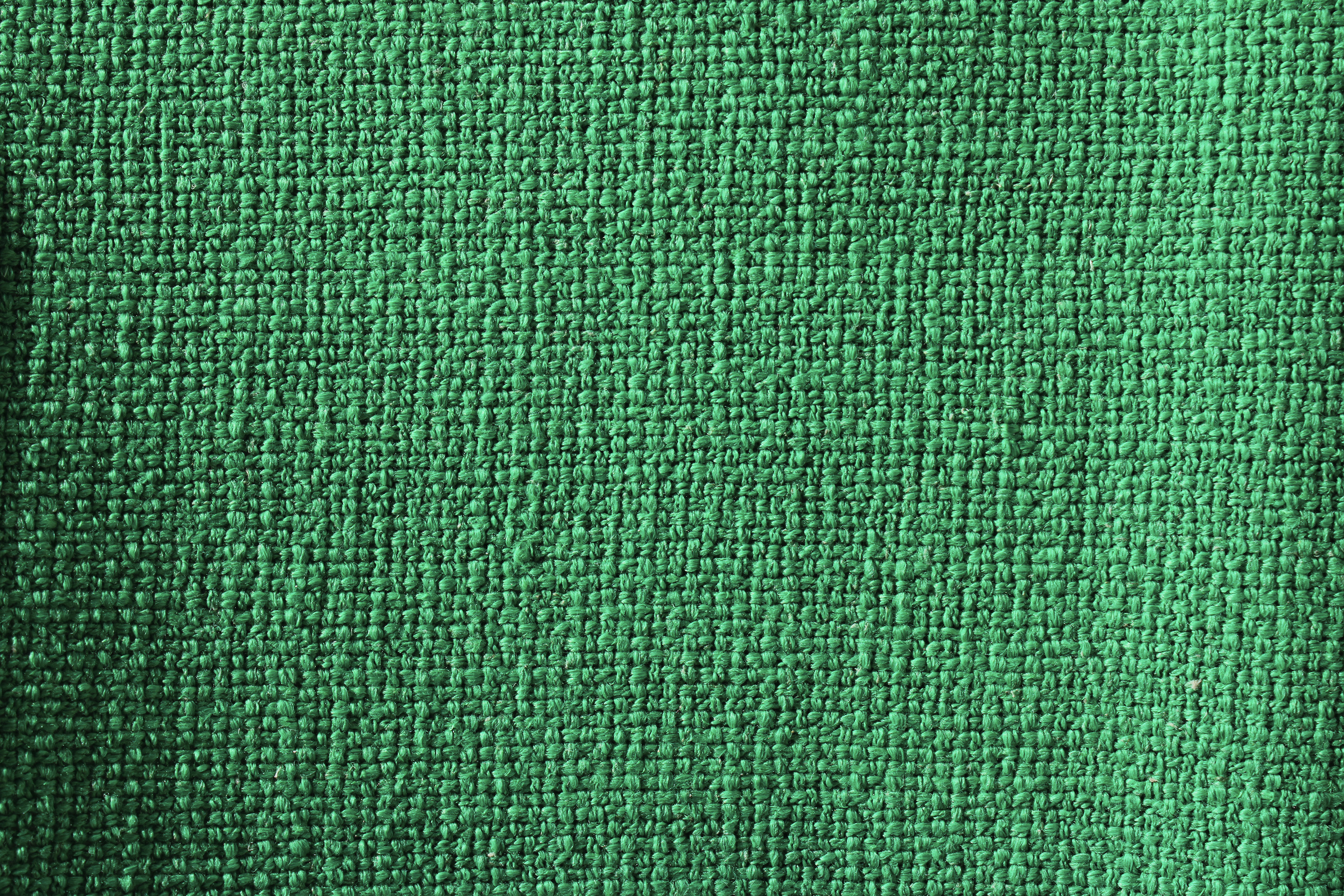 Panamá verde vivo - imagem 3