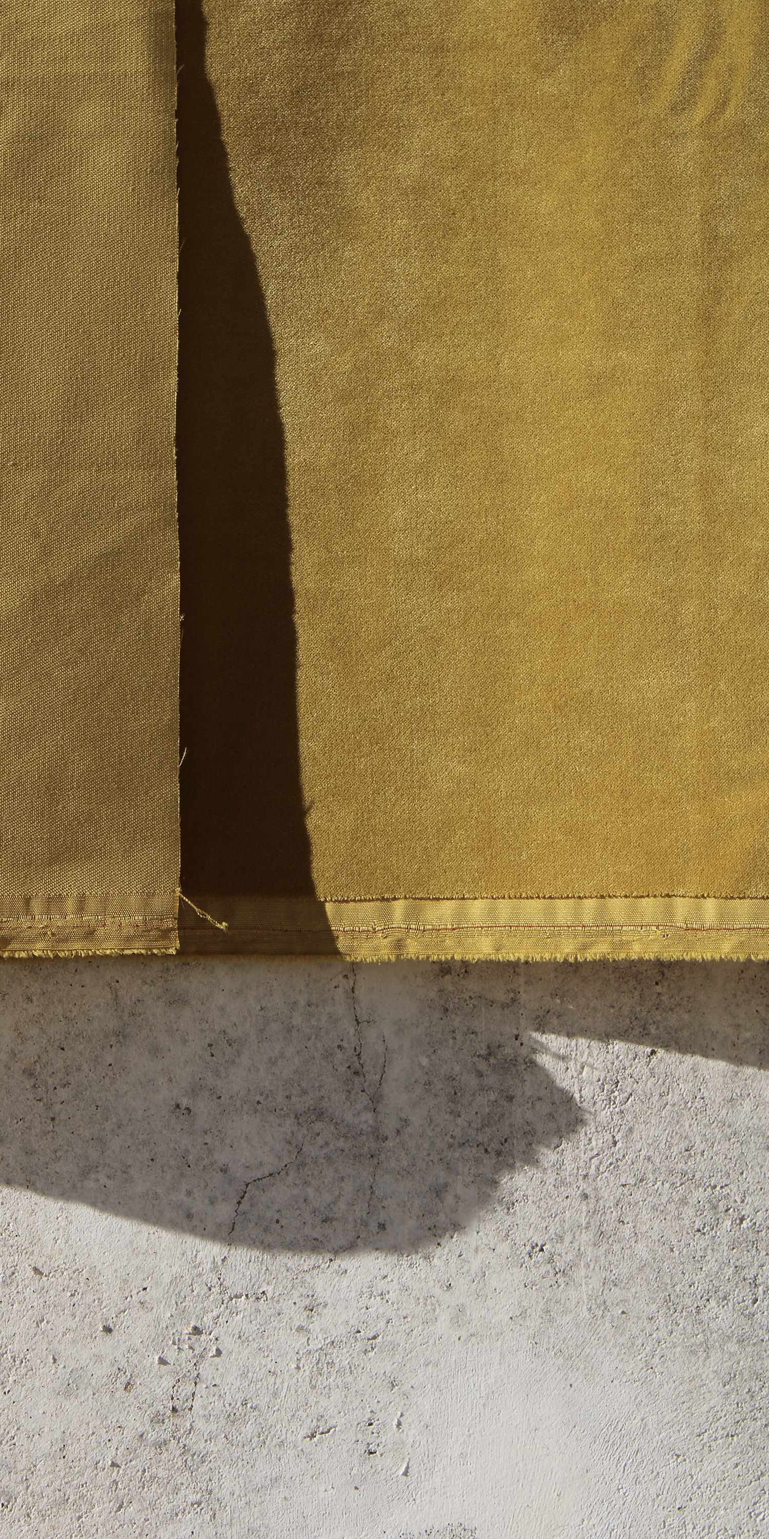 Veludo cor ocre - imagem 2